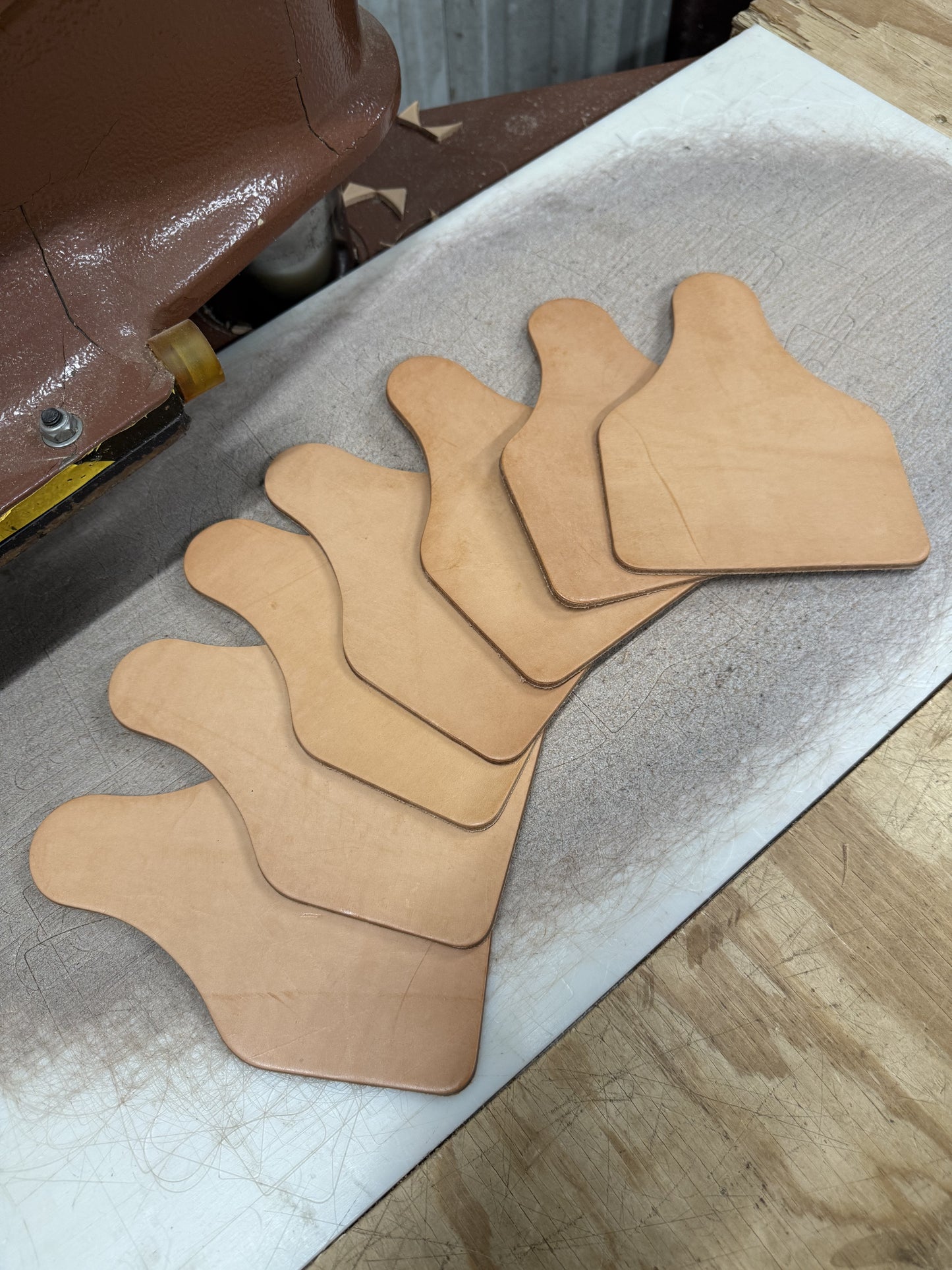 Blemish Large Ear tag - 7 pack