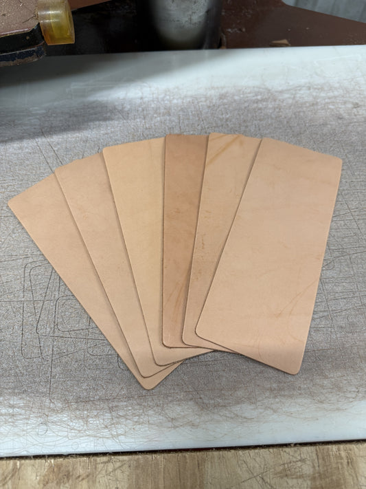 Blemish Money Clip Wallet Back-6 pack
